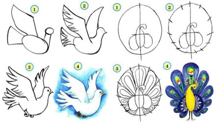 Жар птица поэтапное рисование