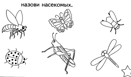Рисуем бабочку