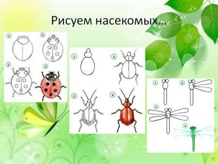 Поэтапное рисование Стрекозы