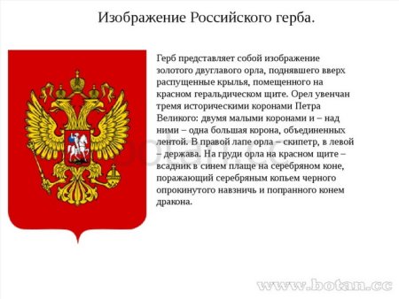Герб России пошагово