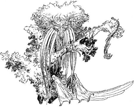 Рисунок к балладе Лесной царь