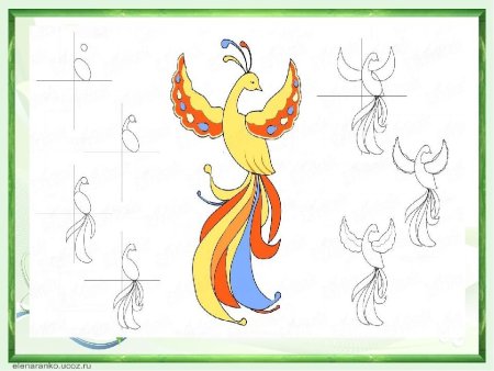 Рисование Сказочная птица
