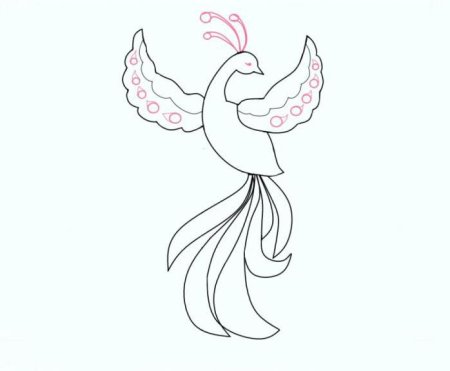 Волшебная птица рисование в подготовительной группе