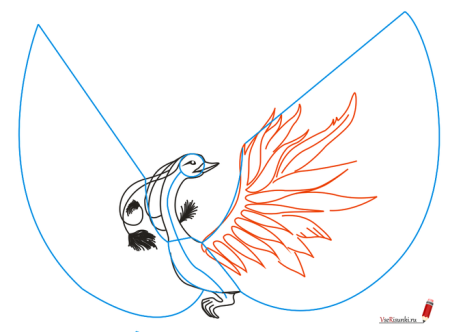 Рисуем птицу поэтапно для детей средней группы