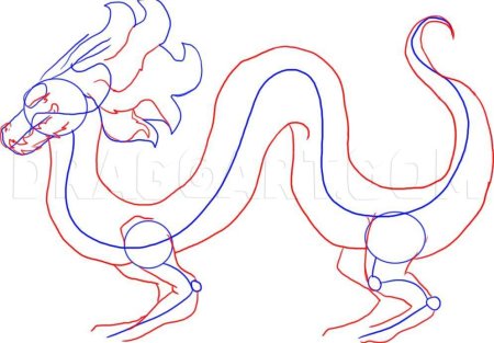 Китайский дракон поэтапно