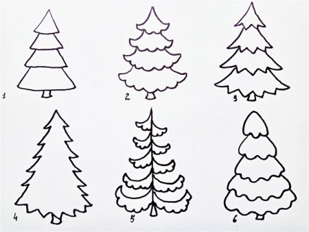 Поэтапное рисование елочки