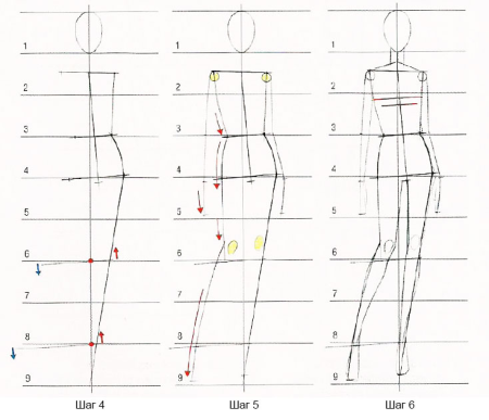 Схема тела человека для рисования