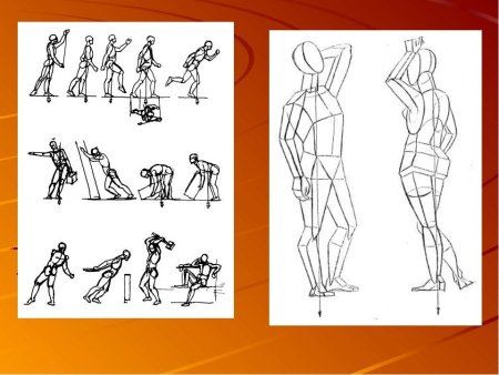 Контрапост анатомия женщина