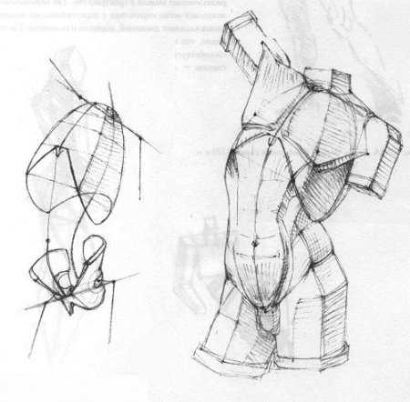Пропорции тела человека рисунок