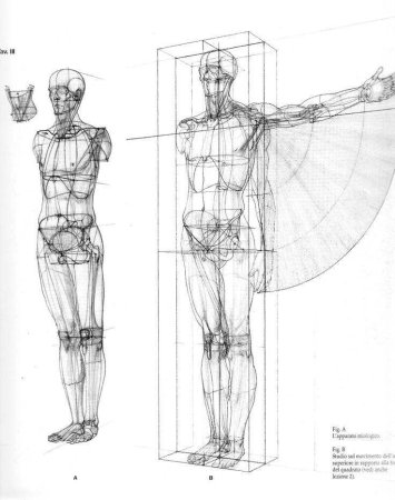 Пропорции человека референс