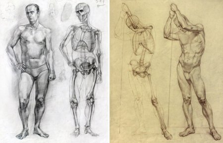Человеческие пропорции референс