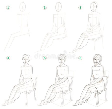 Пропорции анатомия Баммеса