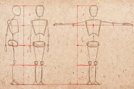 Схема построения фигуры человека пропорции