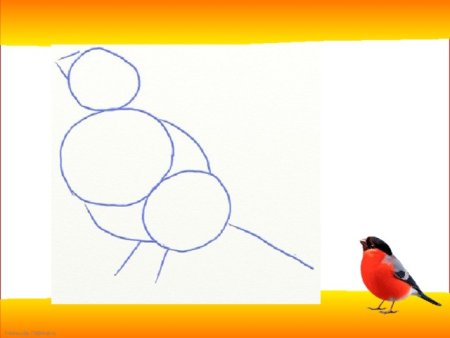 Рисование птицы Снегирь 2 класс поэтапное рисование