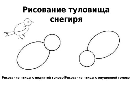 Поэтапное рисование снегиря