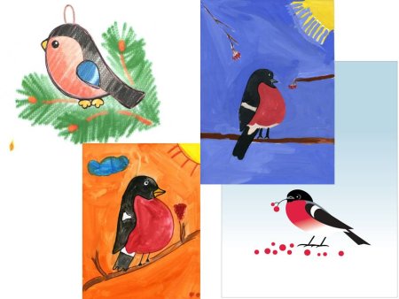 Снегирь рисунок карандашом