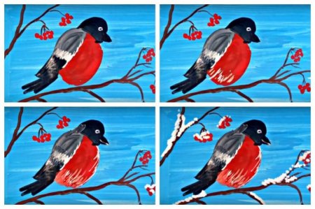 Снегирь пошаговое рисование