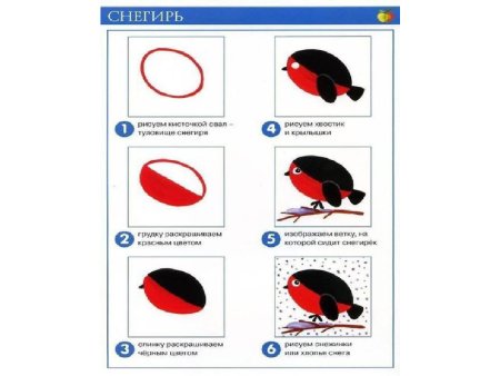 Снегирь рисунок для детей карандашом поэтапно легко