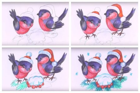 Снегирь на ветке карандашом