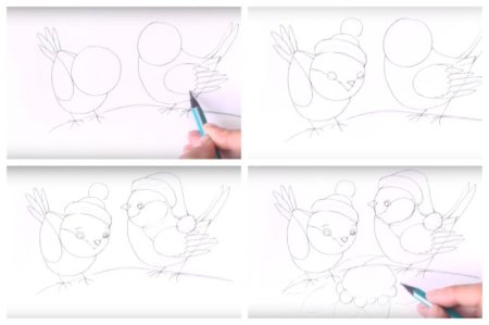 Поэтапное рисование птиц