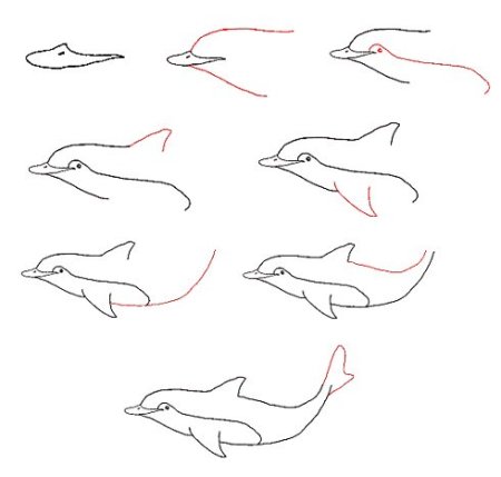 Рисовка маленького дельфина