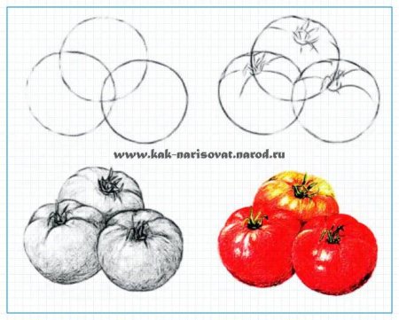 Поэтапное рисование фруктов