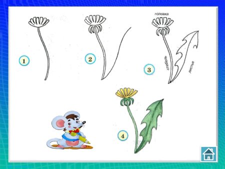 Рисование одуванчик поэтапно