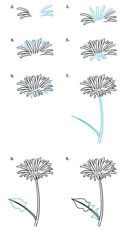 Схема рисования одуванчика