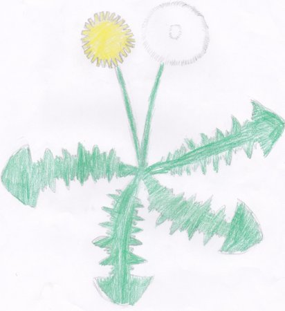 Рисунки восковыми мелками поэтапно