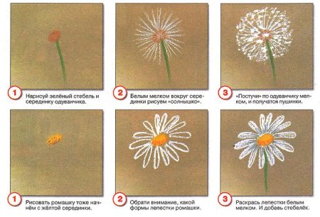 Рисование одуванчики в траве подготовительная группа