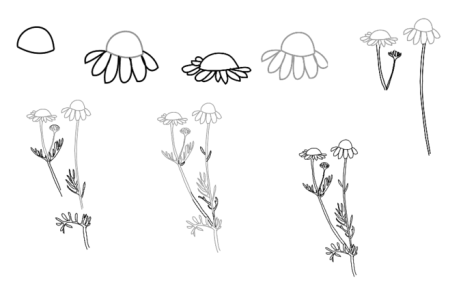 Одуванчик рисунок для детей
