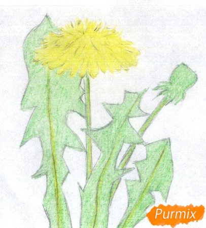 Схемы рисования цветов