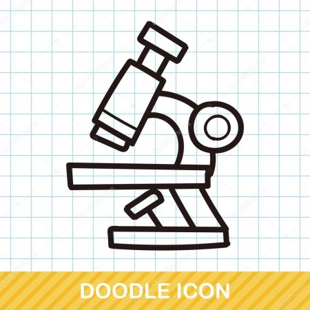 Бинокуляр микроскоп схема