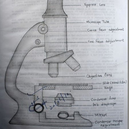 Микроскоп вид сбоку чертеж