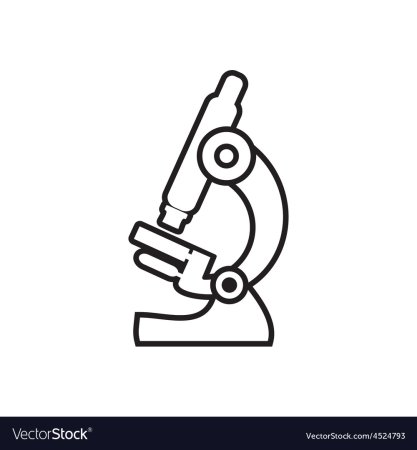 Зарисовать микроскоп