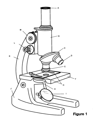 Легкий маленький микроскоп