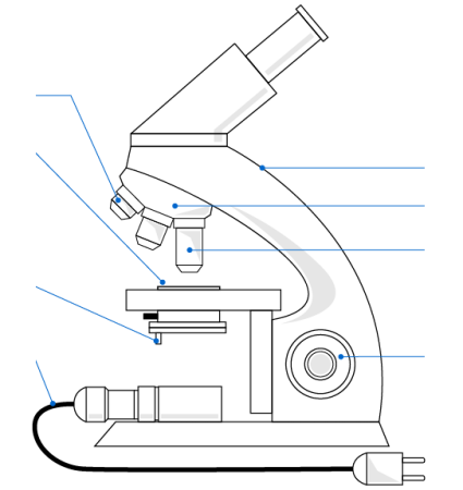 Микроскоп эскиз