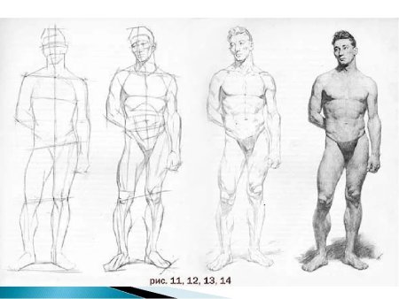 Человек сбоку построение