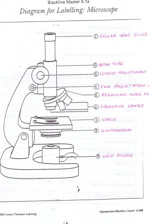 Рисунок микроскопа 5 класс биология карандашом