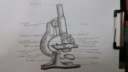 Микроскоп Jenatech Inspection схема