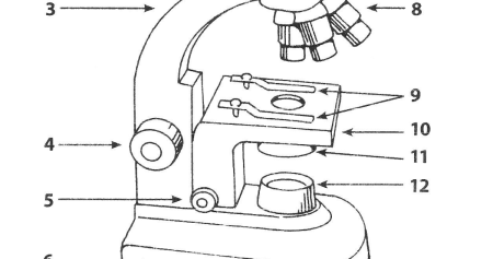 Строение микроскопа винты