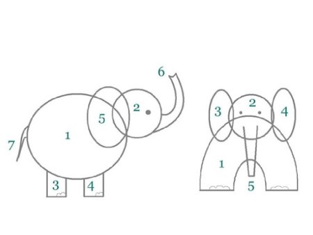 Поэтапное рисование слона