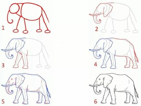 Поэтапное рисование слоненка маленького для детей