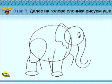 Поэтапное рисование слона
