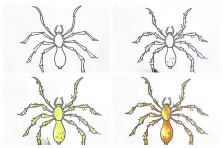 Инструкция по рисованию паука