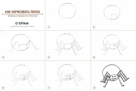 Паук нарисовать легко