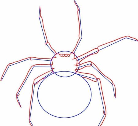 Паук рисование детям