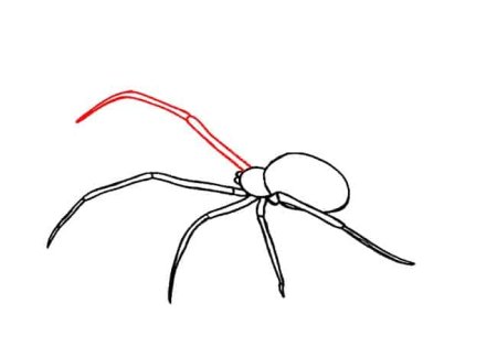 Паук поэтапное рисование