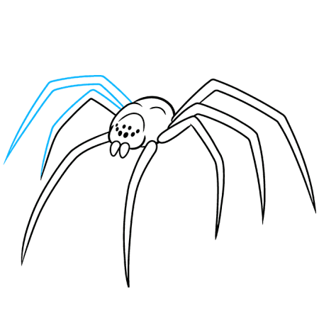 Паук схема рисунок