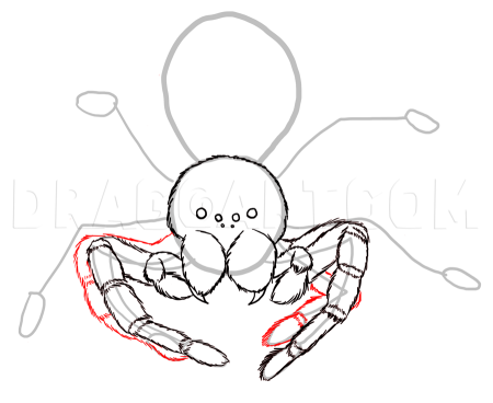 Паук рисунок легкий